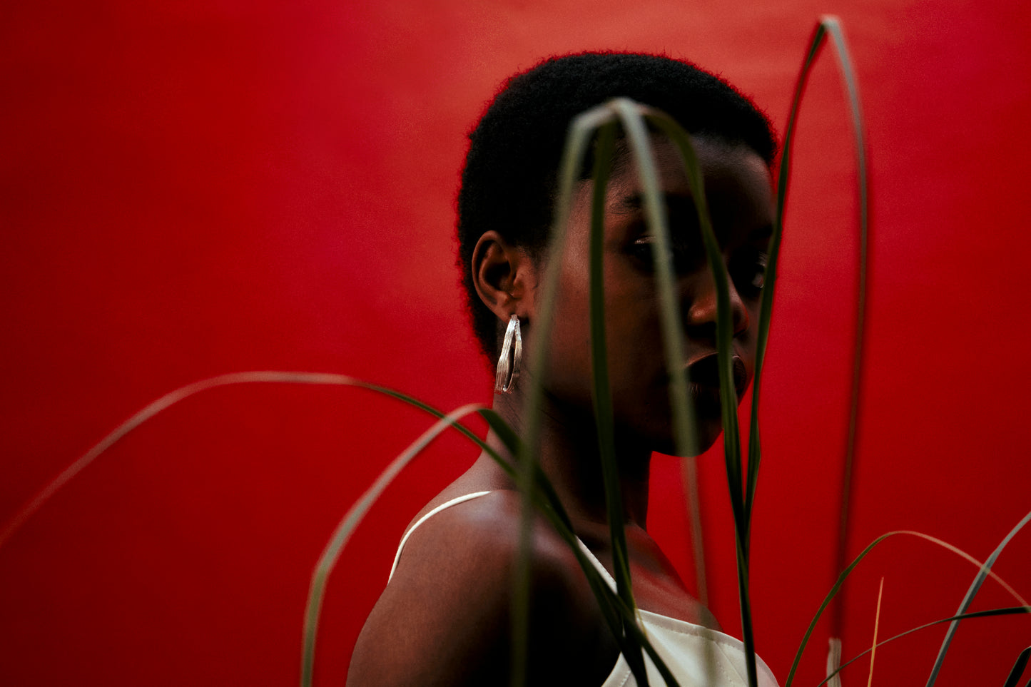 The Ancients, Blade Hoops